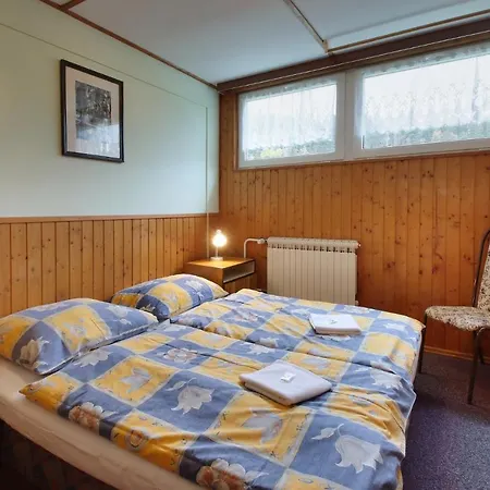 Protez Penzion 3*