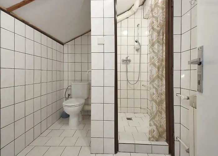 Protez Pensionat 3*