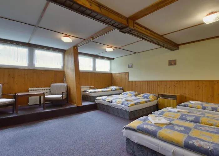Protez Pensionat 3*