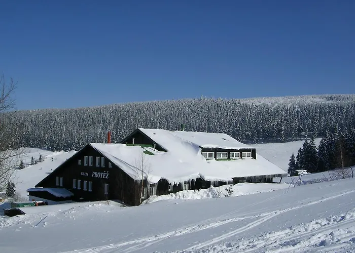 Protez Pensionat 3*